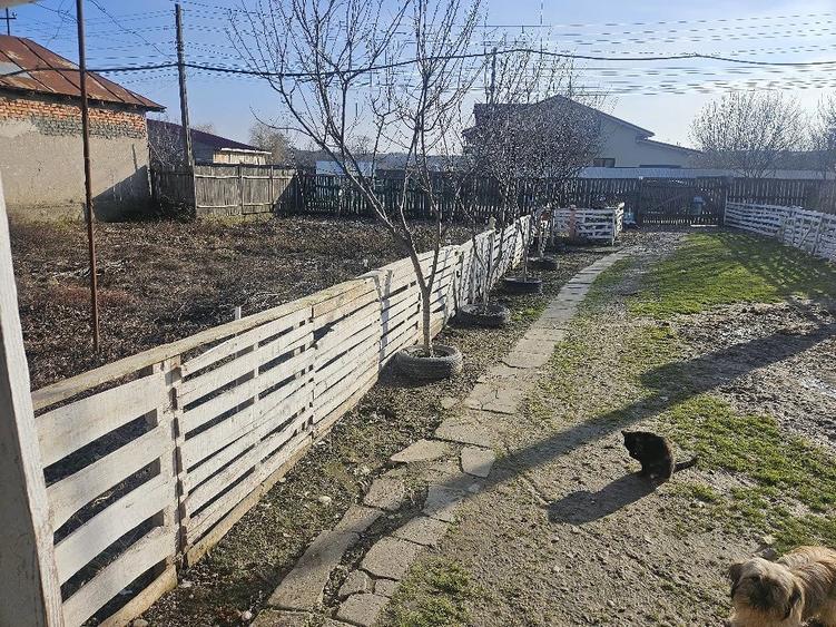 Casă cu Teren 2700 Mp în Baldovinești