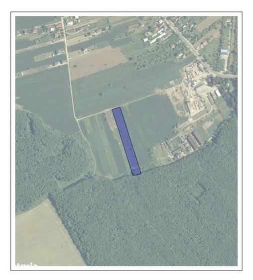 Teren padurea Snagov - 3