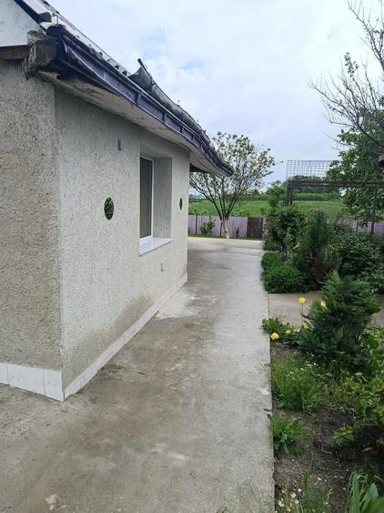 Casă cu 2 camere cu Teren 3868 Mp în Bârsănești