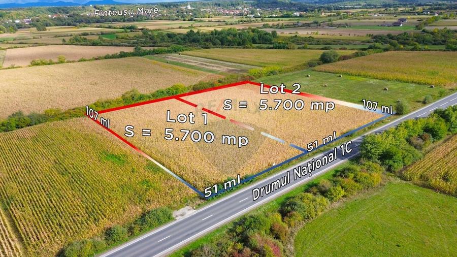 Teren Construcții intravilan de 5700 mp, în Finteușu Mare
