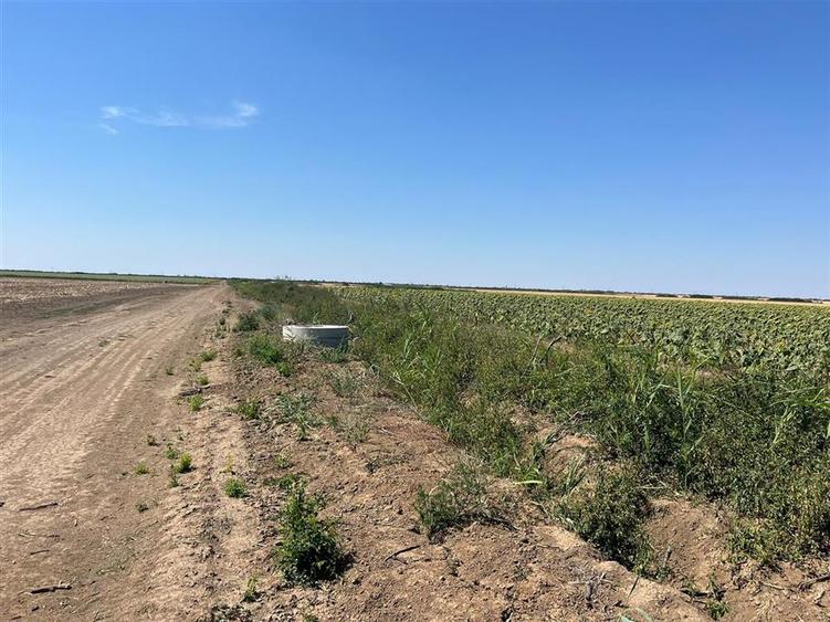 Teren agricol extravilan de 18100 mp, în Tinca