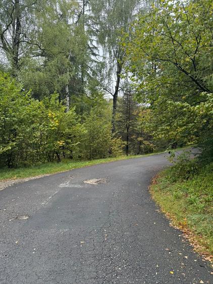 Teren Construcții intravilan de 4629 mp, în Poiana Brașov