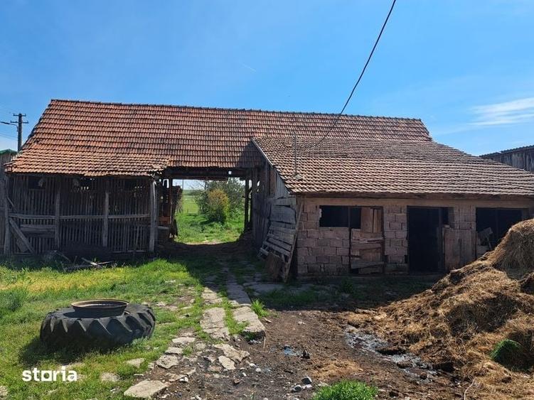 Casă cu 4 camere cu Teren 2400 Mp în Balinț