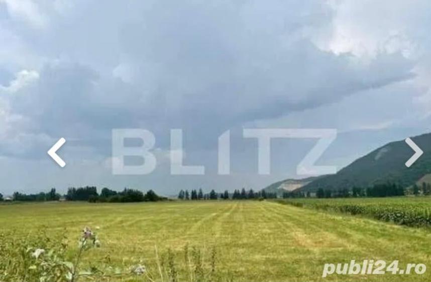 Teren de 16000 mp, în Central