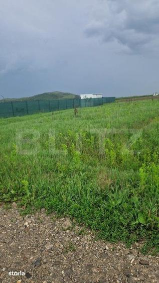 Teren pentru casa intravilan , 800 mp deschidere la drum Bod - 6