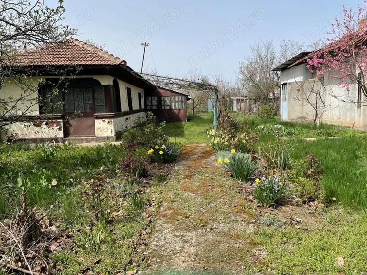 Teren de 1644 mp, în Frumușani