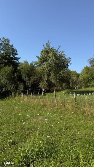 Teren Parau | Valea Danului, Curtea de Arges | Vidraru | - 2