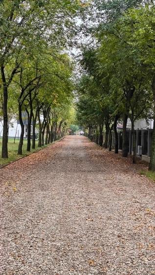 Teren Construcții intravilan de 500 mp, în Afumați