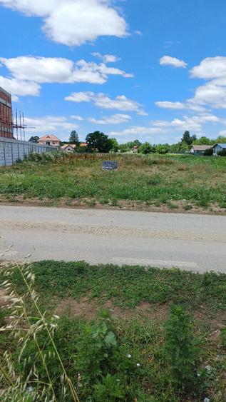 Teren de 3000 mp, în Ciolpani