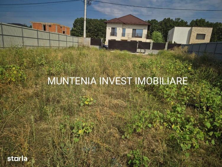 Spațiu comercial, în Smeura