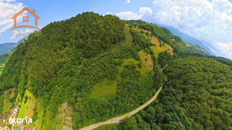 Investitie Smart in Moieciu, 3.1 ha, Panorama 360 Bucegi - Piatra Crai - 11
