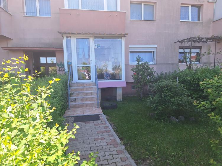 Spatiu Comercial | Brasov | Str. Harmanului | Lidl - 1