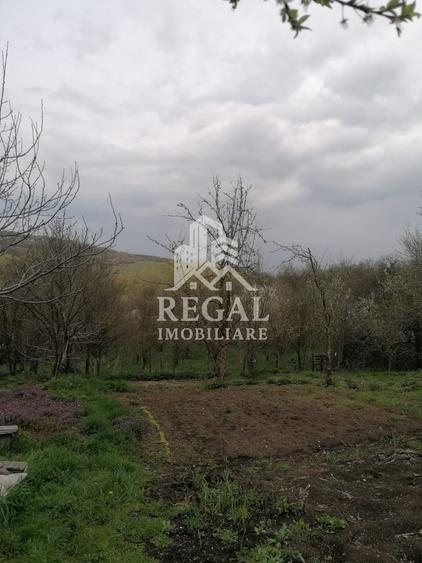 Casă individuală cu 2 camere cu Canalizare în Cerișor