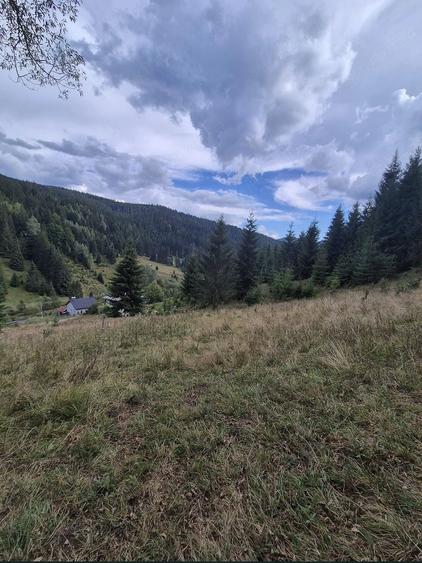 Casă cu 3 camere cu Teren 2201 Mp în Central