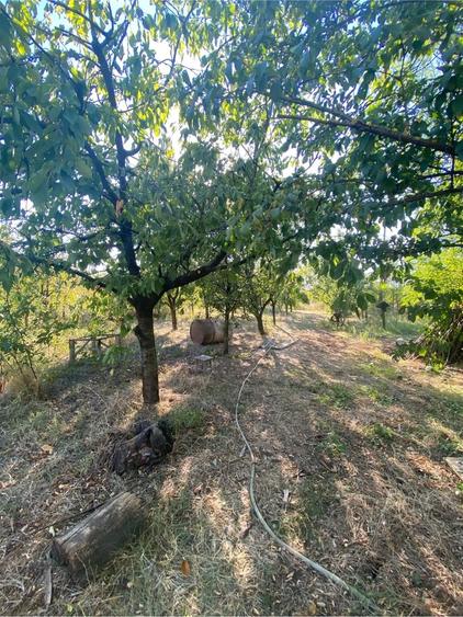 Casă cu 3 camere cu Teren 1600 Mp în Bujoreni