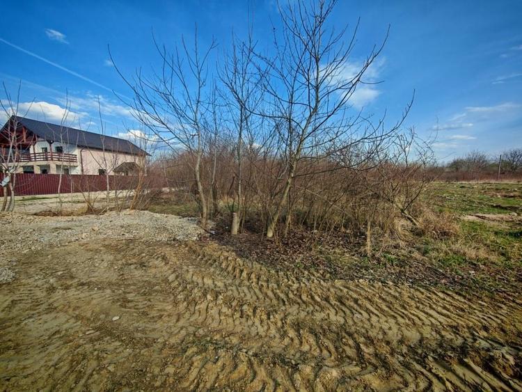 Teren Construcții intravilan de 2273 mp, în Periferie