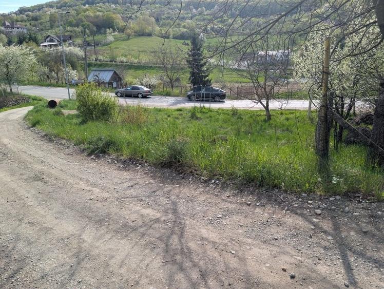 Teren de vanzare Valea Jelnii langa asfalt - 7