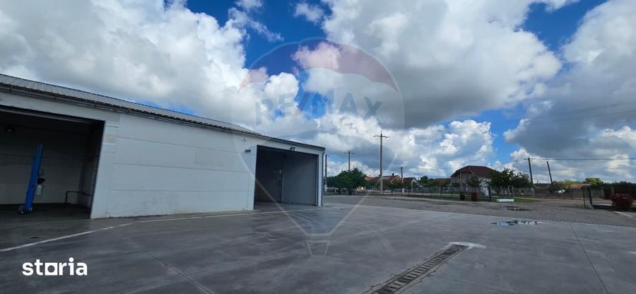 Spațiu comercial, de 100 mp, în Socodor
