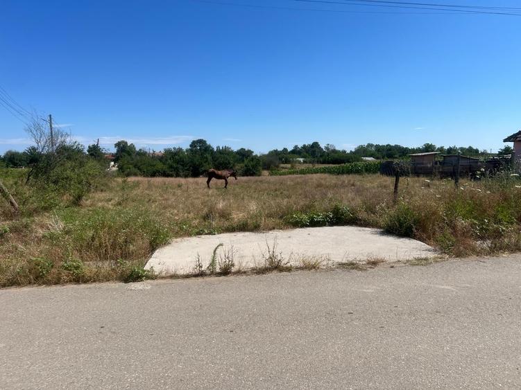 Teren Construcții intravilan de 2528 mp, în Pleșoiu