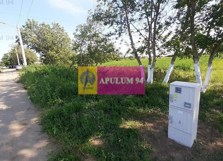Teren Construcții intravilan de 5000 mp, în Copăceni