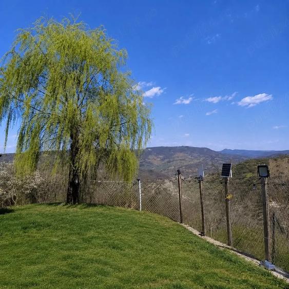 Casa de vanzare in Pacure?i, Prahova 3 dormitoare, teren intravilan 3.084 mp, - 1