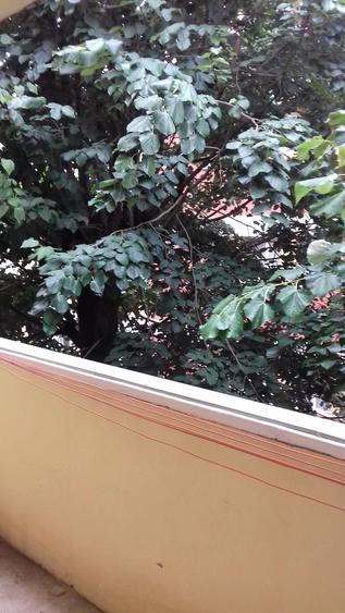 Apartament cu 3 camere decomandat în Complex Studențesc