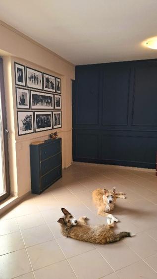 Apartament cu 2 camere semidecomandat în 1 Decembrie 1918