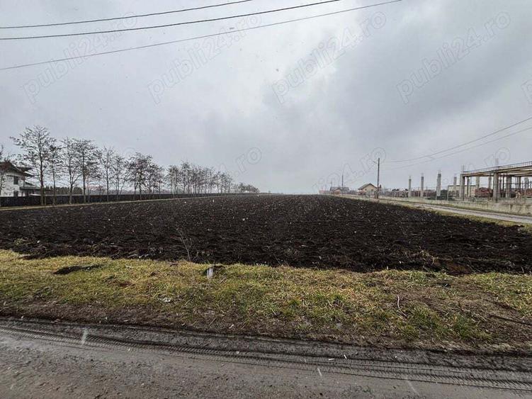 Teren de 15000 mp, în Saucenița