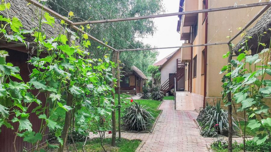 Casă individuală cu 12 camere cu Piscina în Uzlina