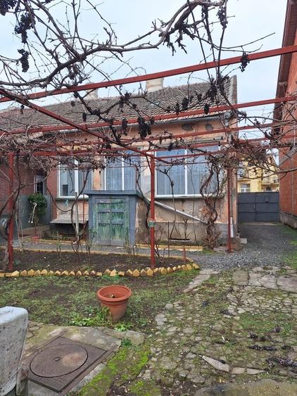 Casă cu 3 camere în Alfa