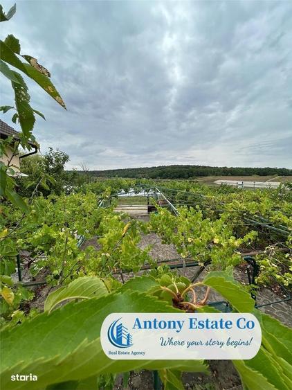 Antony Estate | LAKESIDE HOME - Lac Paleu - 18
