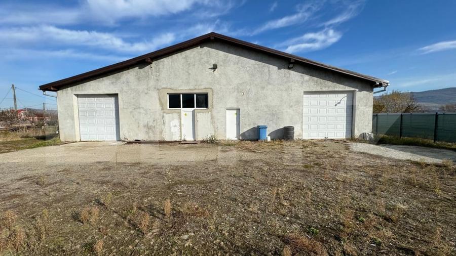 Afacere la cheie, casa de locuit si 28 ari de teren in Arcalia - 8