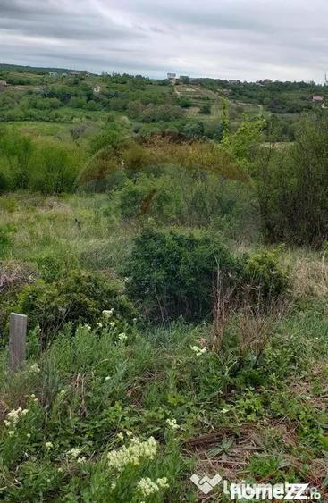 Teren în Paleu