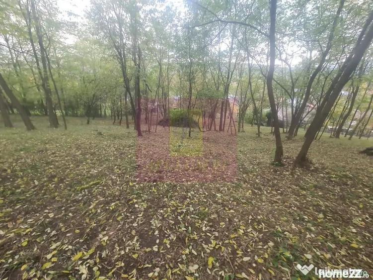 Casă cu 3 camere cu Teren 3410 Mp în Aluniș