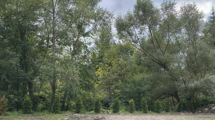 Apartament cu 2 camere decomandat în Clăbucet