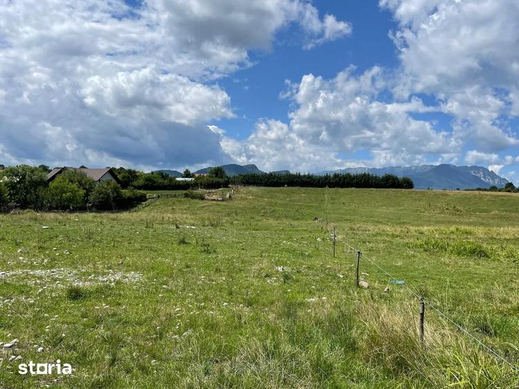 INVESTI?IE | Teren 5000 mp PUZ APROBAT intravilan - zona Sohodol -Bran - 2