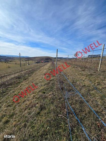 Teren de 5000 mp, în Barcani