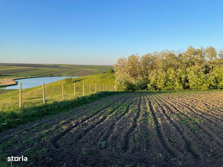 Teren de 3100 mp, în Bălțați