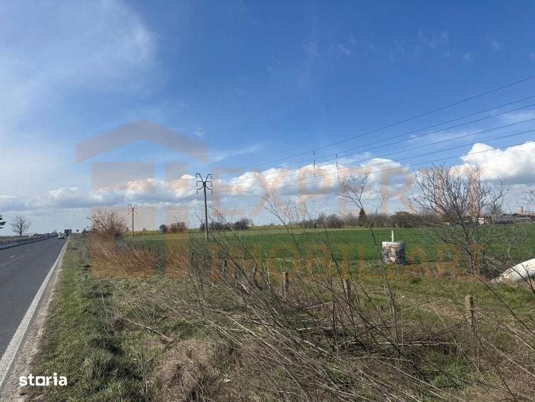 Teren de vanzare 18.000 mp | Deschidere la DN | Ideal investitie - 8