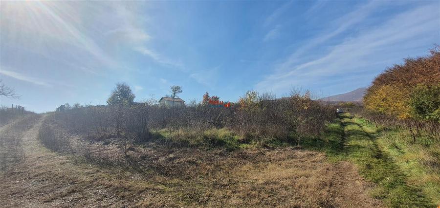Teren Construcții intravilan de 884 mp, în Cetate