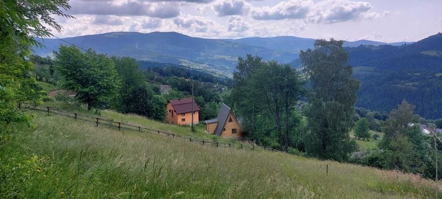Teren de vis 2263 mp in Apuseni com. Horea, Alba | Priveliste superba - 7