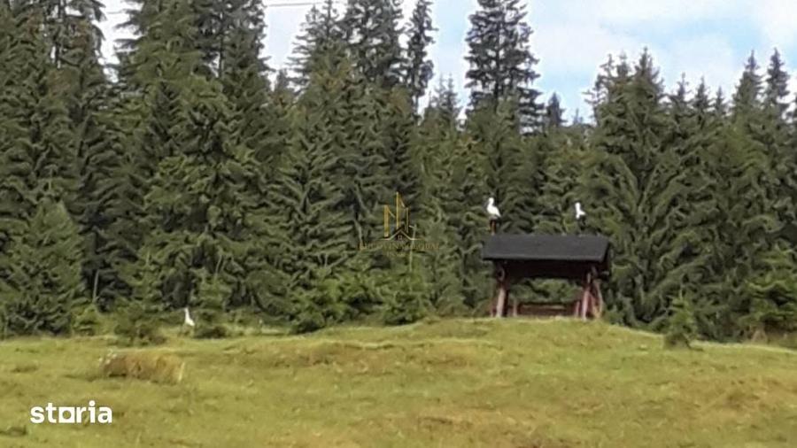 Teren de 32522 mp, în Pojorâta
