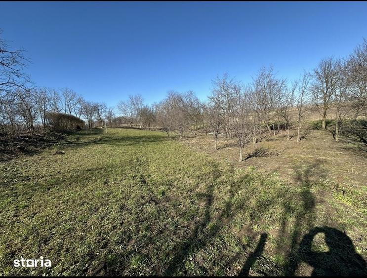 Teren de 960 mp, în Păulești