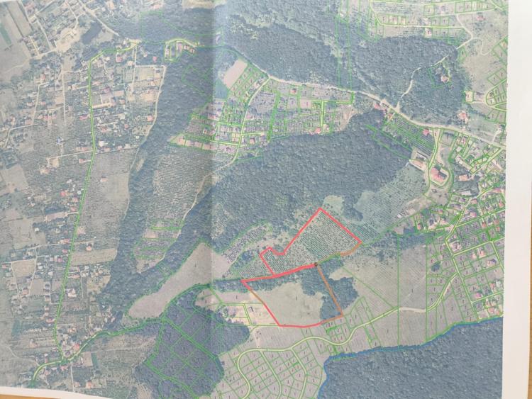 Teren intravilan de 35772 mp, în Bârnova