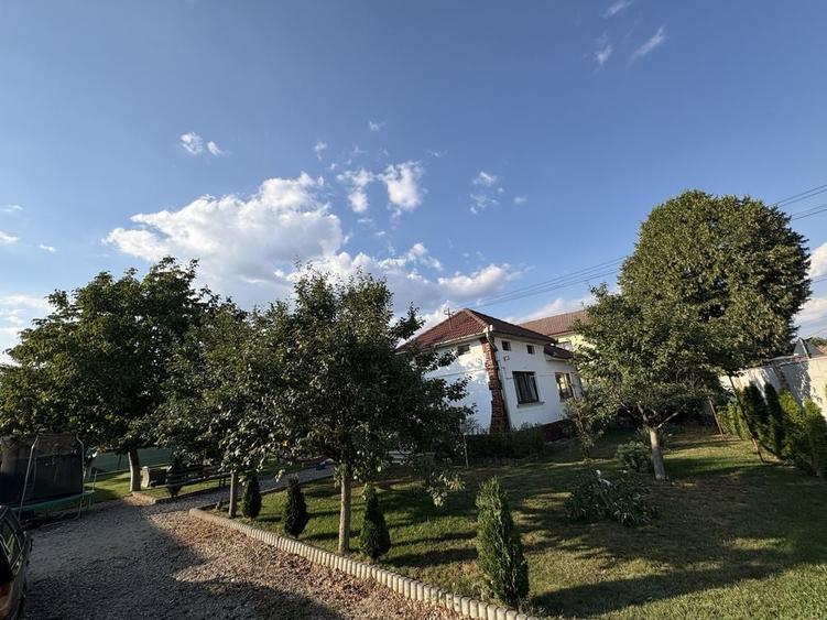 Casă cu 3 camere în Vințu de Jos