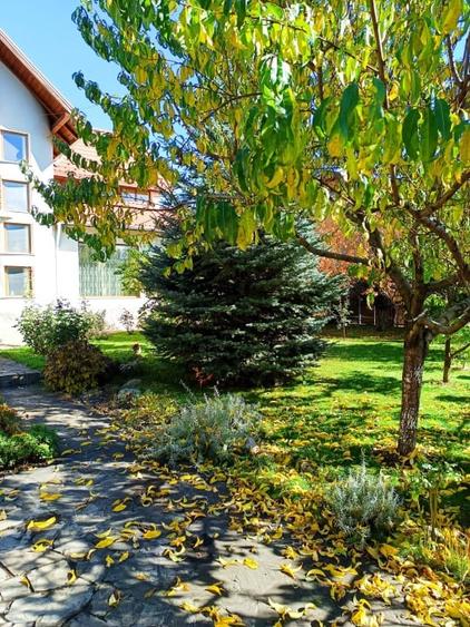 Casă individuală cu 5 camere cu Canalizare în Albert