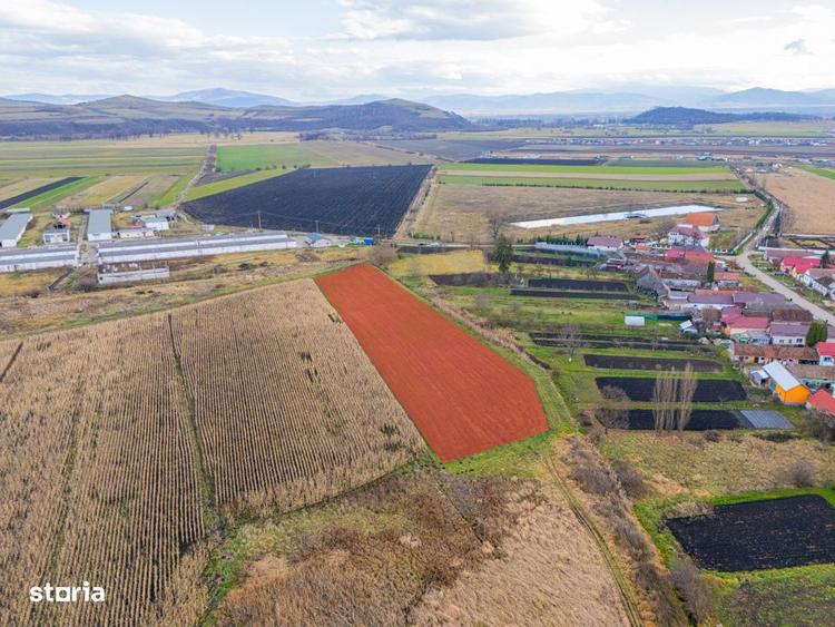 Teren de 10000 mp, în Bod