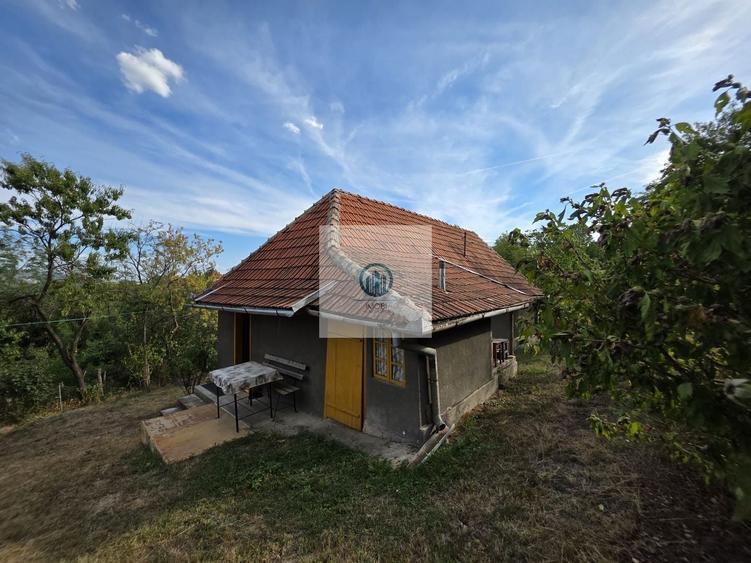 Casă individuală cu 3 camere cu Canalizare în Vălișoara