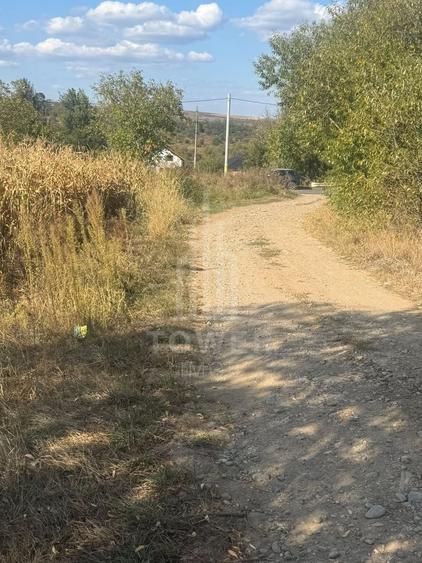 Teren Construcții extravilan de 2500 mp, în Roșia