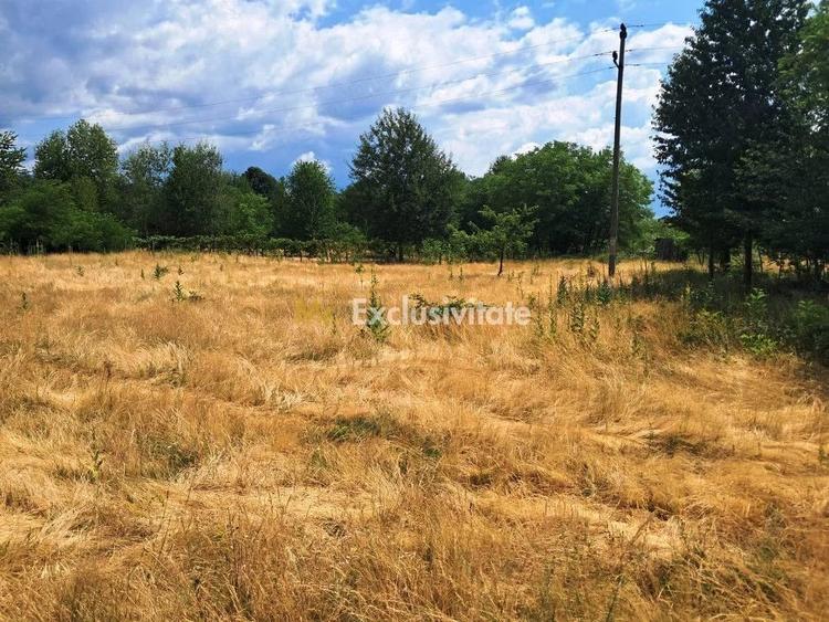 Teren de 2478 mp, în Polovragi